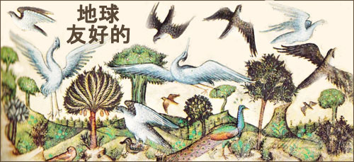 保护地球：艺术家 Belbello da Pavia（意大利，1430-1473 年）在 Visconti Hours 创作的鸟类