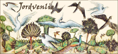 
Jordvenlig: Skabelsen af ​​fugle af kunstneren Belbello da Pavia (italiensk, 1430-1473) i Visconti-timerne