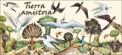 Terra Amistosa: creación de aves del artista Belbello da Pavia (italiano, 1430-1473) en las Horas Visconti
