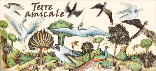 Terre amicale : création d'oiseaux par l'artiste Belbello da Pavia (italien, 1430-1473) aux heures Visconti