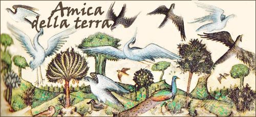 Amica della terra: Creazione di uccelli dell'artista Belbello da Pavia (Luchino di Giovanni Belbello (italiano, 1430-1473)