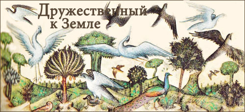 Дружественный к Земле: Создание птиц художником Белбелло да Павия (Италия, 1430-1473)