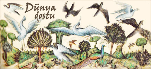 Dünya dostu: Sanatçı Belbello da Pavia'nın Kuşların Yaratılışı (İtalyanca, 1430-1473)